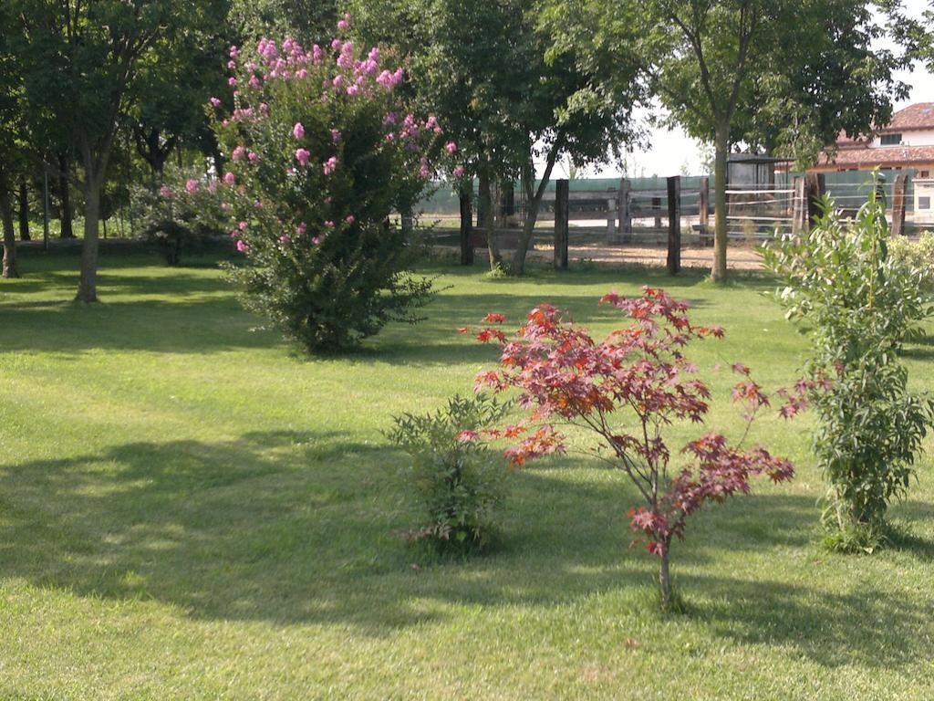 Agriturismo Arte Contadina Fiorenzuola d'Arda Exterior photo